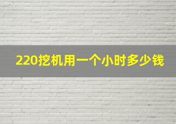 220挖机用一个小时多少钱