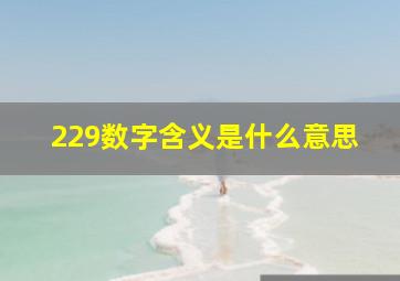 229数字含义是什么意思