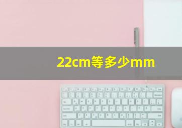 22cm等多少mm