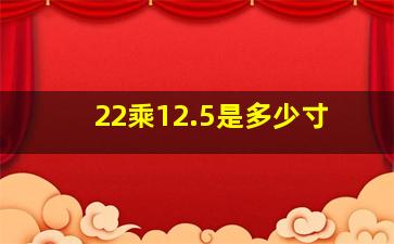 22乘12.5是多少寸