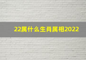 22属什么生肖属相2022