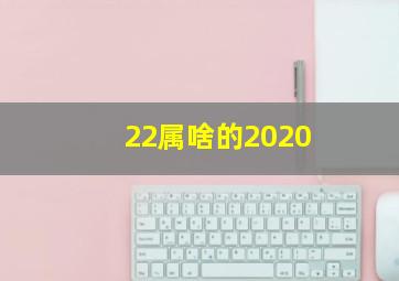 22属啥的2020