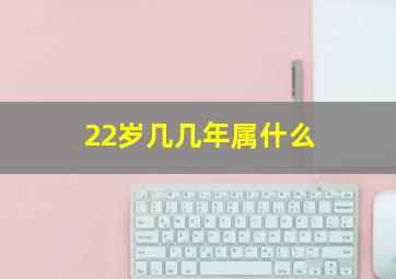 22岁几几年属什么