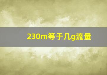 230m等于几g流量