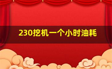 230挖机一个小时油耗