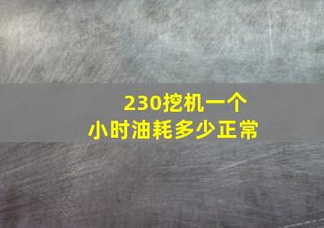 230挖机一个小时油耗多少正常