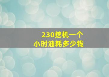 230挖机一个小时油耗多少钱