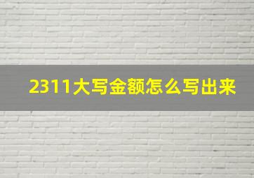 2311大写金额怎么写出来