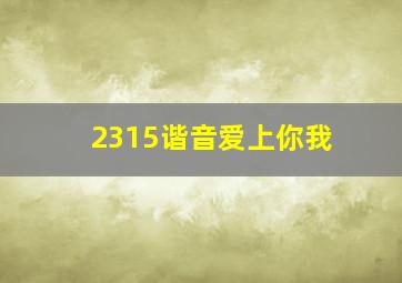 2315谐音爱上你我