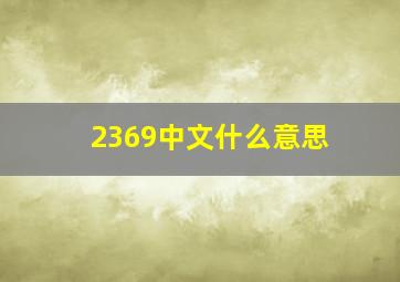 2369中文什么意思