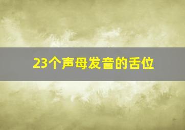 23个声母发音的舌位