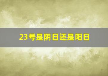 23号是阴日还是阳日