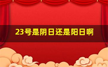 23号是阴日还是阳日啊