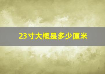 23寸大概是多少厘米