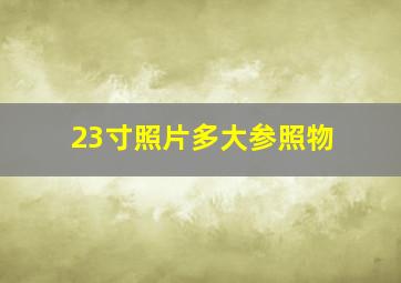 23寸照片多大参照物