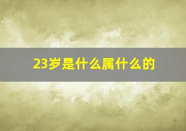 23岁是什么属什么的