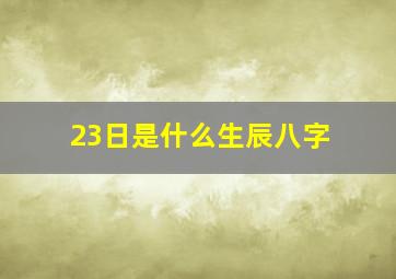 23日是什么生辰八字