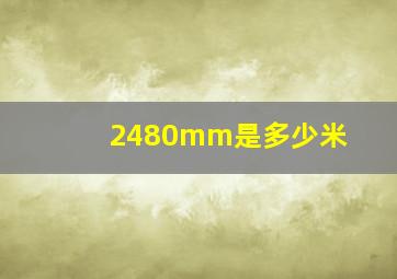 2480mm是多少米