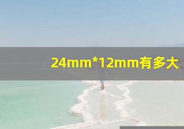 24mm*12mm有多大