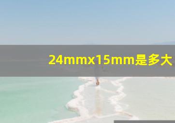 24mmx15mm是多大