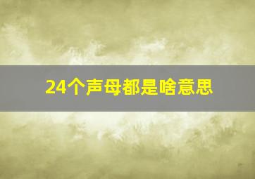 24个声母都是啥意思