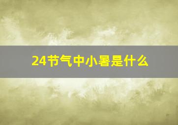 24节气中小暑是什么