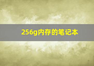 256g内存的笔记本