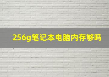 256g笔记本电脑内存够吗