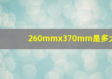 260mmx370mm是多大