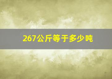 267公斤等于多少吨