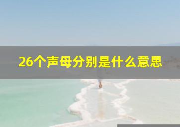 26个声母分别是什么意思