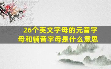 26个英文字母的元音字母和辅音字母是什么意思