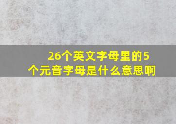 26个英文字母里的5个元音字母是什么意思啊