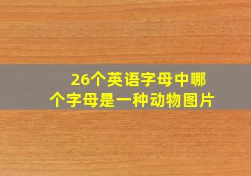 26个英语字母中哪个字母是一种动物图片