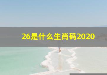 26是什么生肖码2020