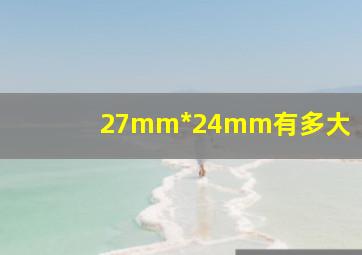 27mm*24mm有多大