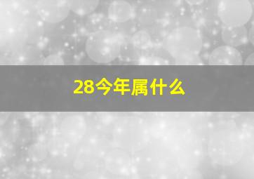 28今年属什么