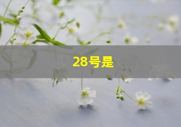 28号是