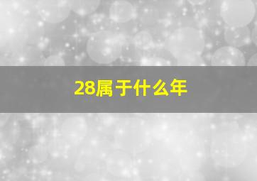 28属于什么年