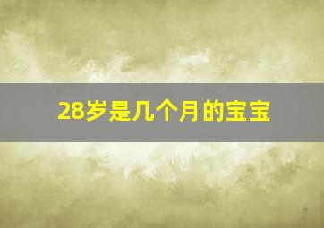 28岁是几个月的宝宝