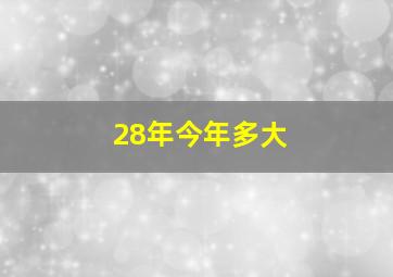 28年今年多大