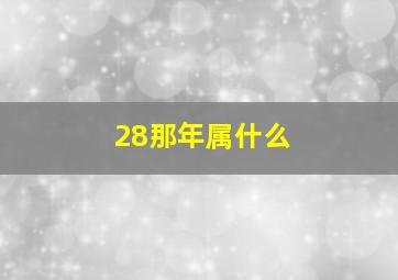 28那年属什么