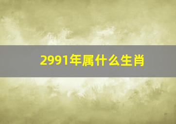 2991年属什么生肖