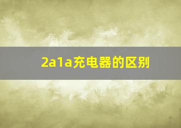 2a1a充电器的区别