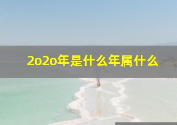 2o2o年是什么年属什么