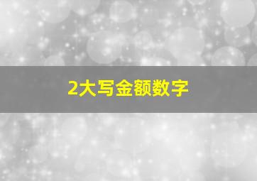 2大写金额数字