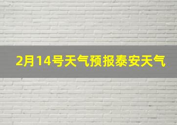 2月14号天气预报泰安天气