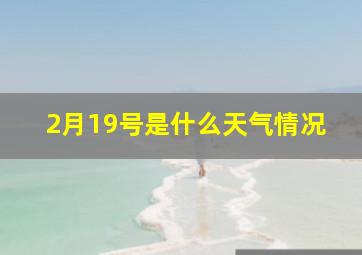 2月19号是什么天气情况