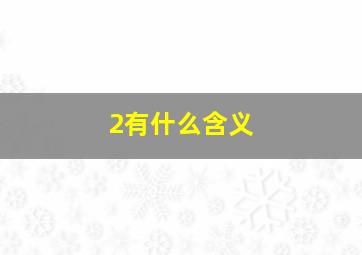 2有什么含义