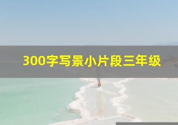 300字写景小片段三年级